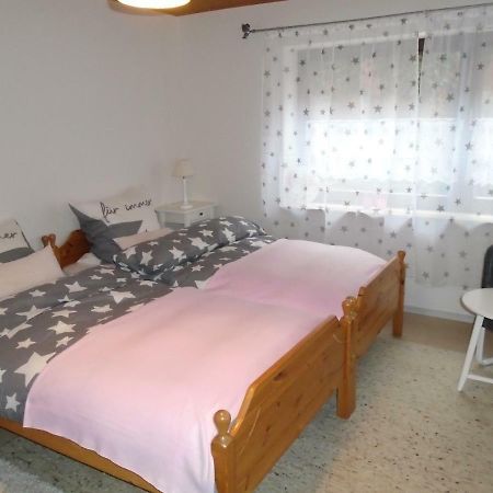 Apartmán Non Smoking Traudel Engelken Neckargemünd Exteriér fotografie