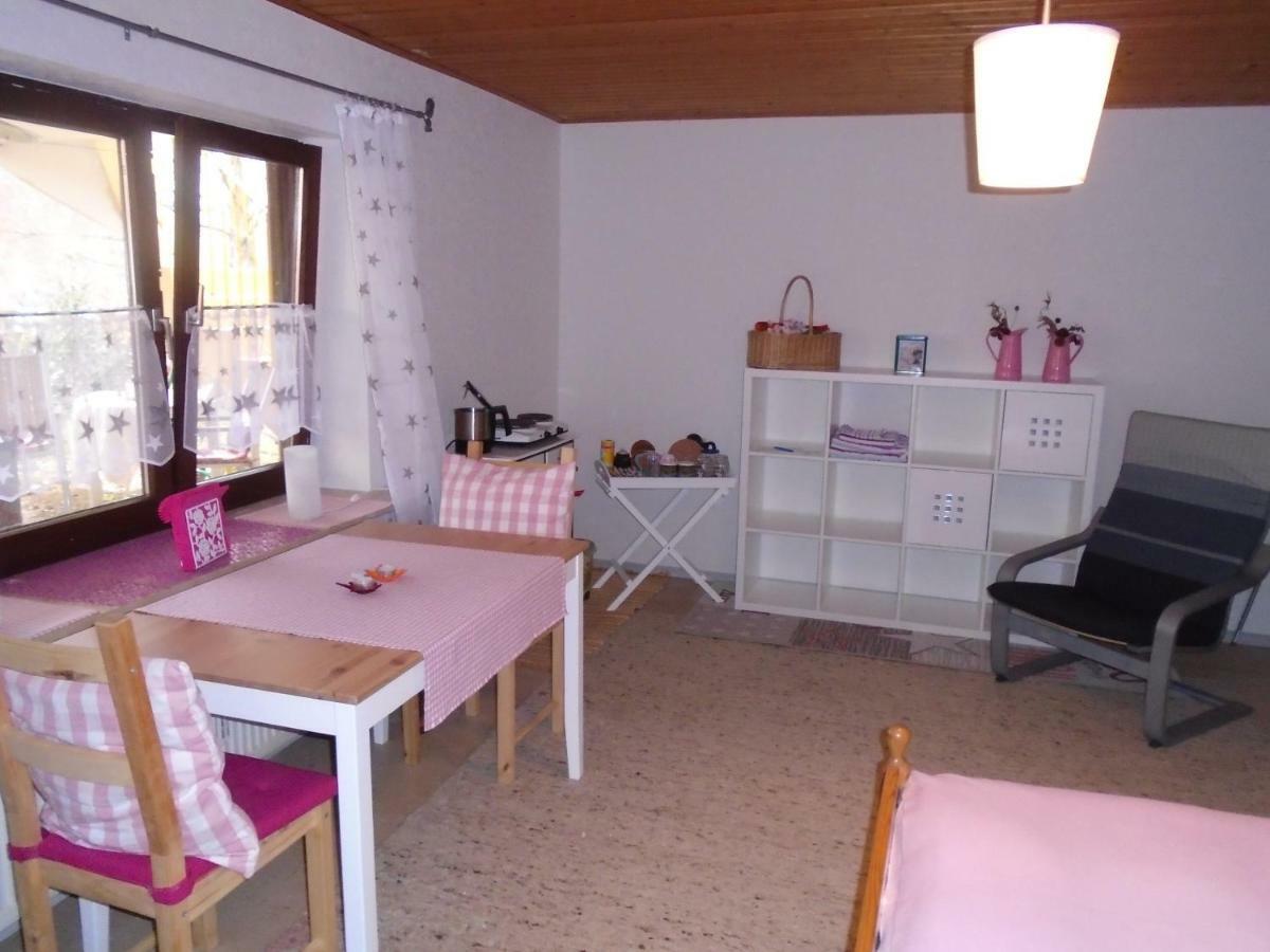 Apartmán Non Smoking Traudel Engelken Neckargemünd Exteriér fotografie